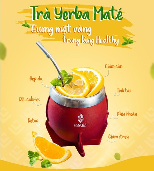 Lợi ích của trà Yerba Mate
