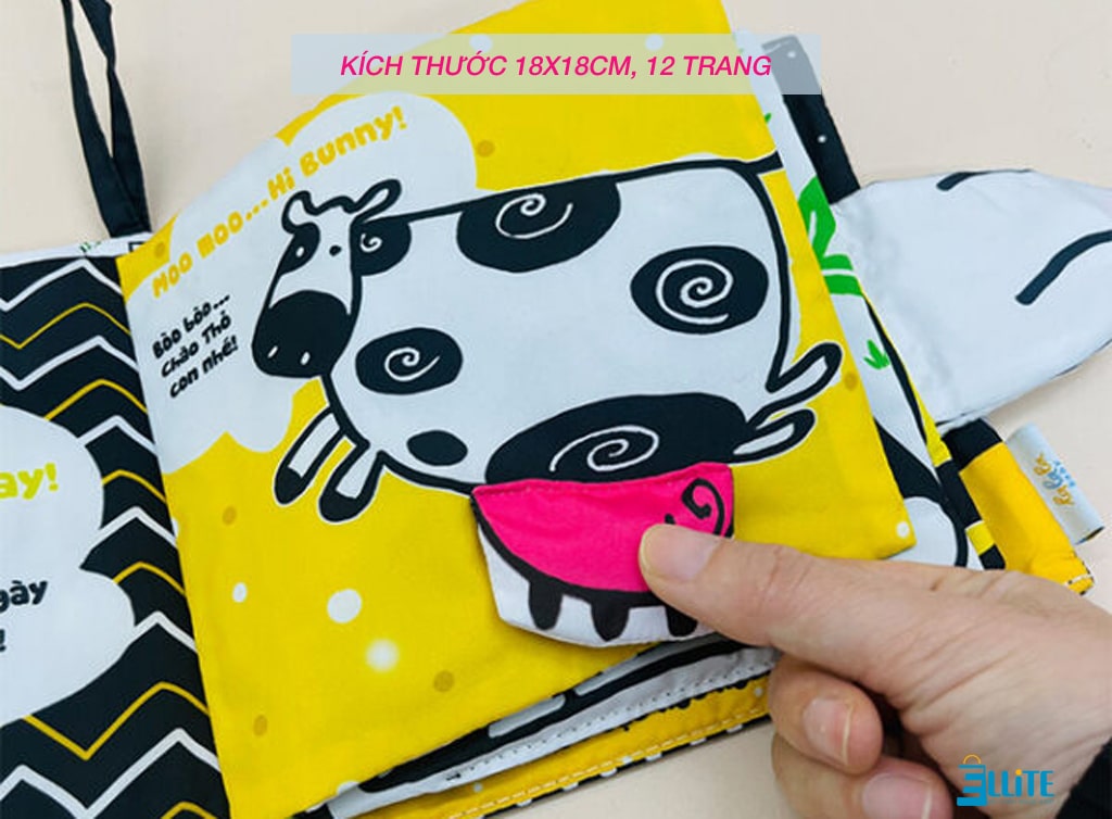 Độ dày tới 12 trang