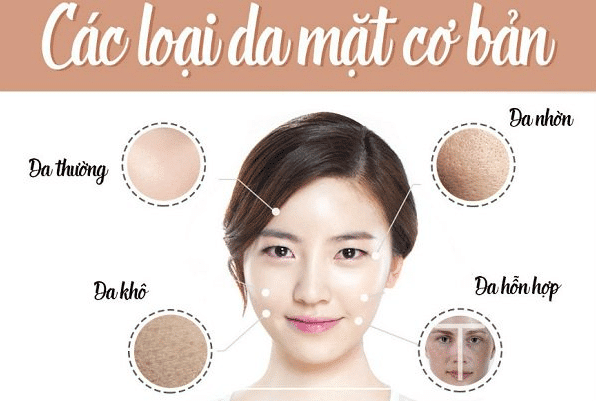 4 Loại Da Mặt Cơ Bản