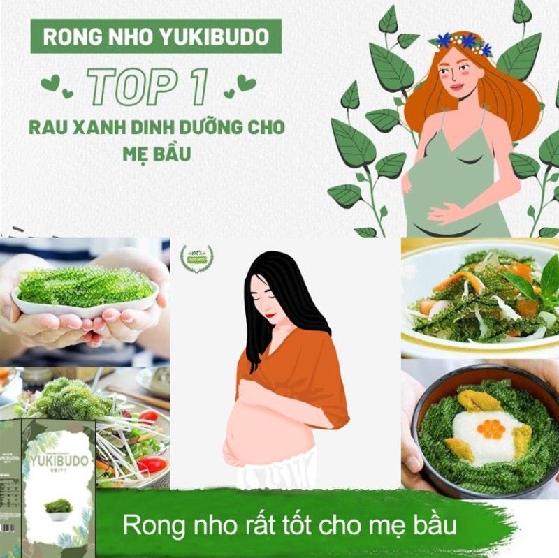 Rong nho là thực phẩm dinh dưỡng tốt cho bà bầu