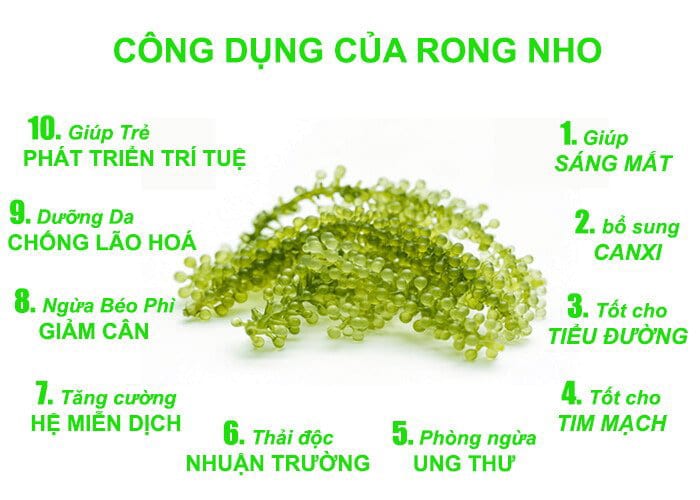 6 công dụng của rong nho