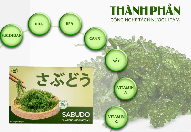 Rong nho Sabudo với 7 thành phần chính