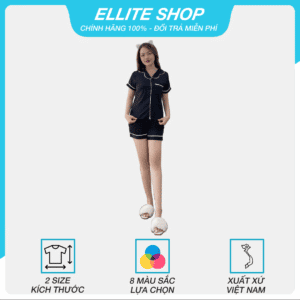 Thumbnail bộ độ ngủ aster lụa latin