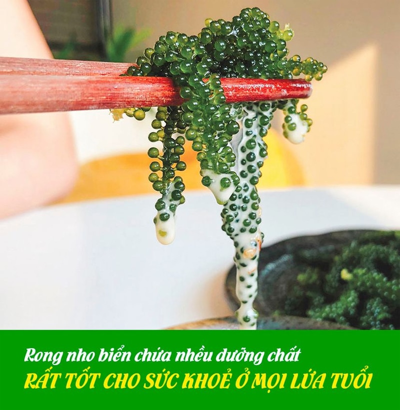 Rong nho Yukibudo tốt cho sức khỏe ở mọi lứa tuổi