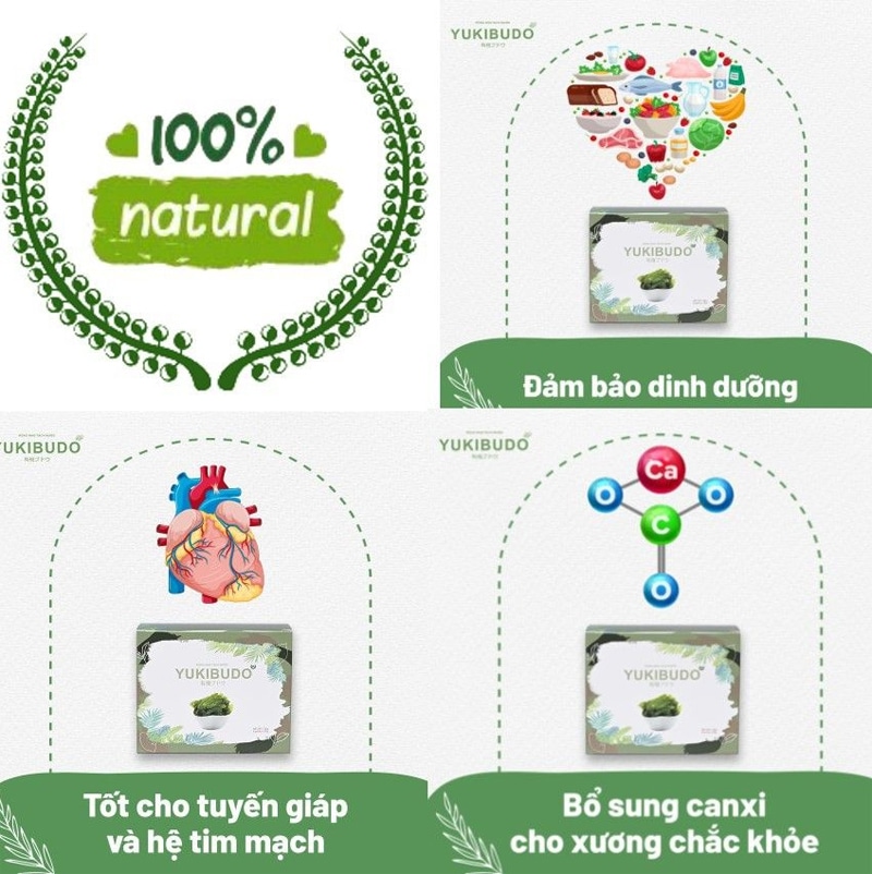 3 công dụng của rong nho Yukibudo