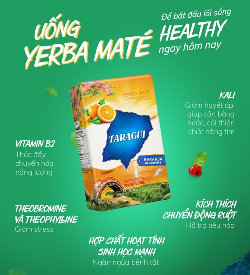 5 công dụng của trà Yerba Mate